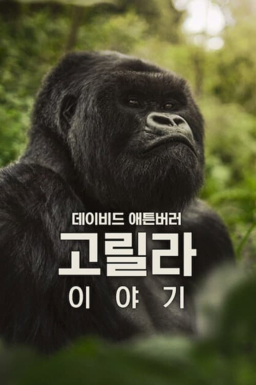 데이비드 애튼버러: 고릴라 이야기