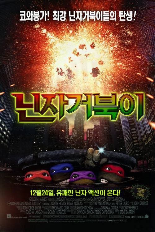닌자 거북이