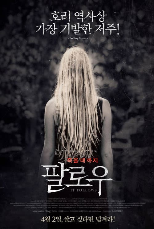팔로우