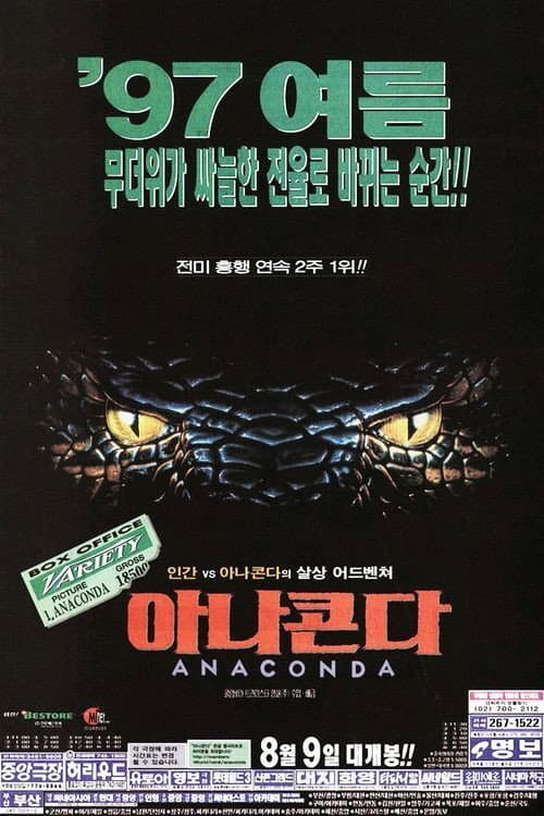 아나콘다