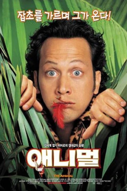 애니멀