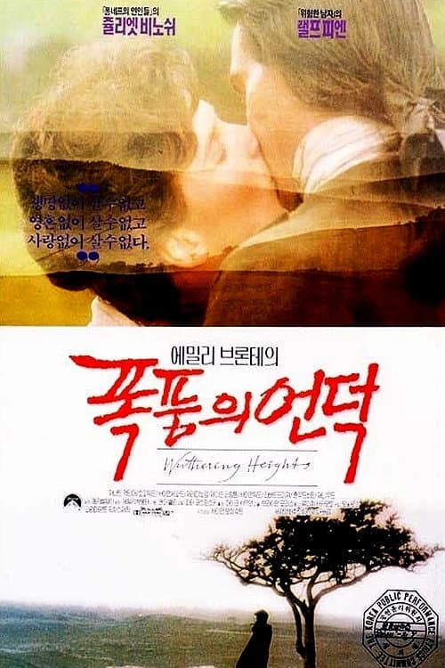 폭풍의 언덕