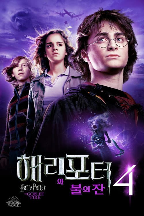 해리 포터와 불의 잔